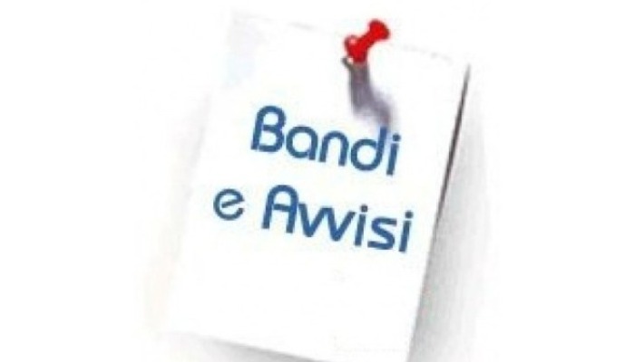 BANDO DI FINANZIAMENTO PER I COMUNI DELL’AMBITO ISOLA BERGAMASCA E VAL SAN MARTINO PER INTERVENTI URGENTI DI INSERIMENTO IN STRUTTURE DI PROPRI CITTADINI - ANNO 2022/2023